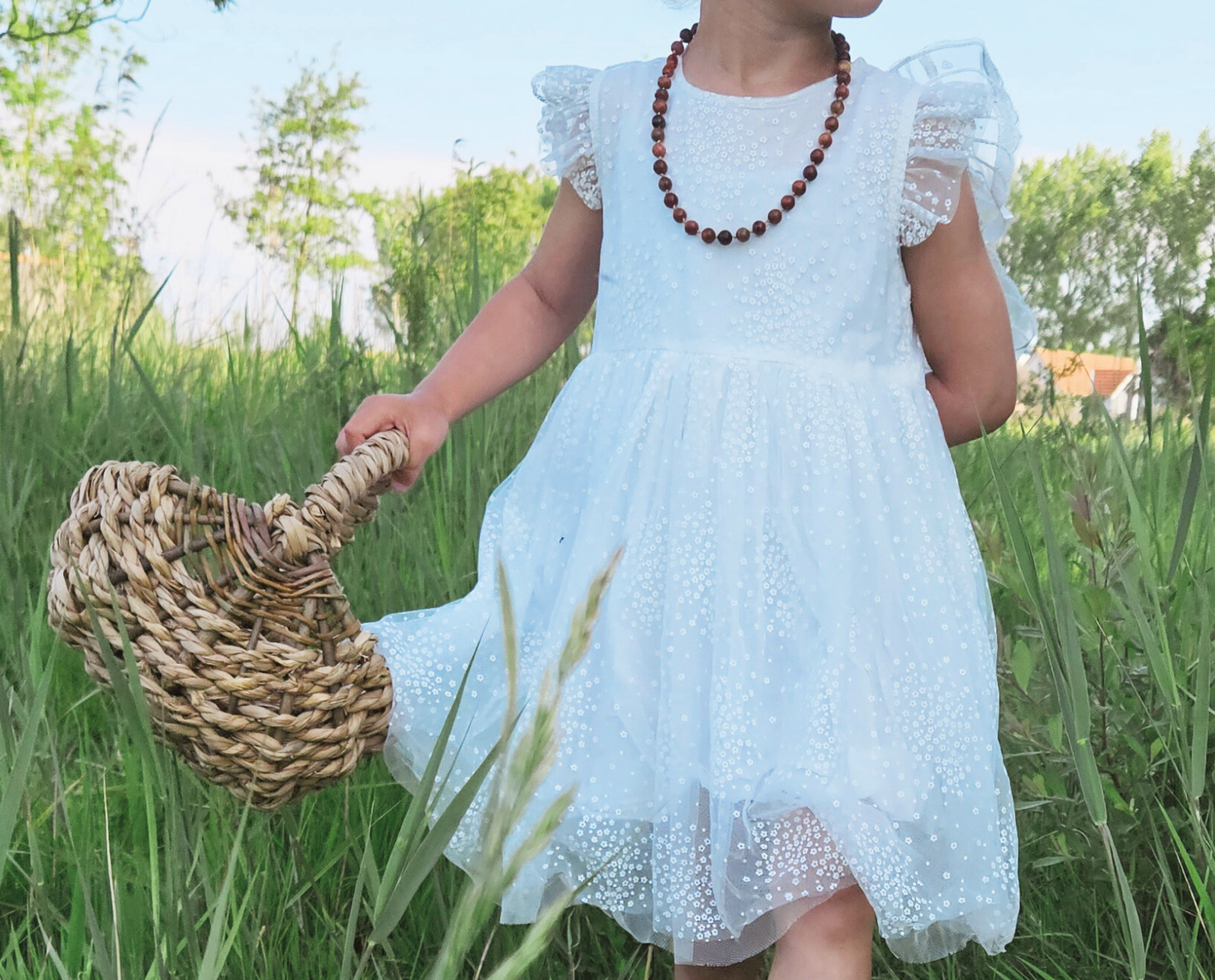 Image hover effect image