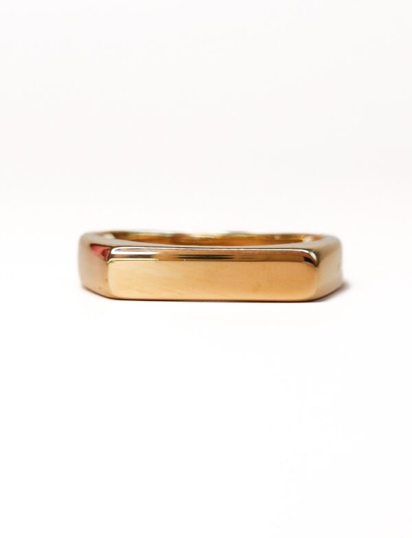 Signet Ring | Goud