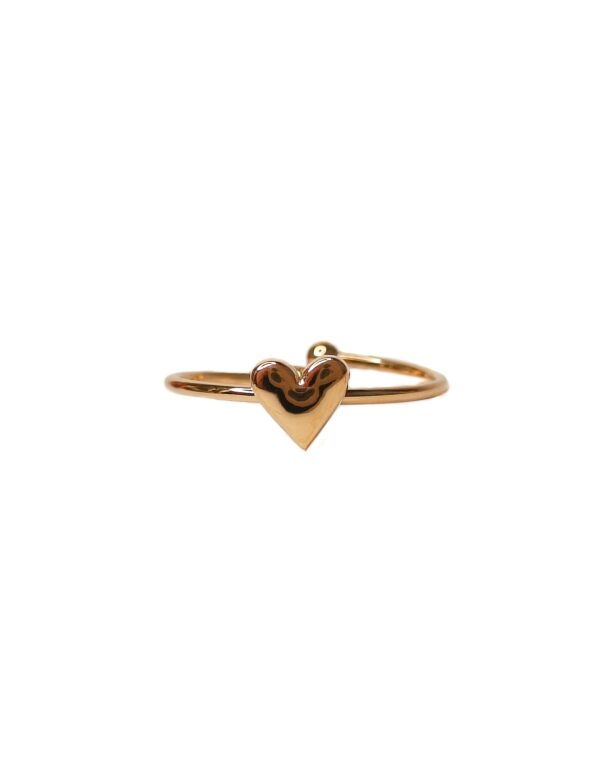 Amor Sui Ring | Goud